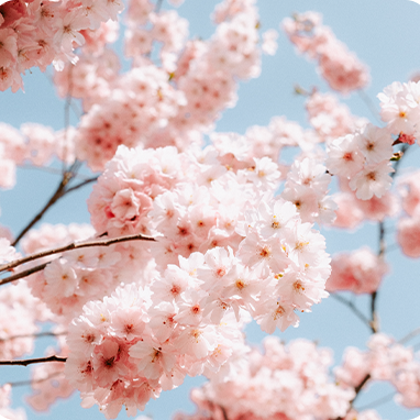 柔性振動(dòng)盤(pán)廠(chǎng)家,焊接機(jī)器人廠(chǎng)家，柔性振動(dòng)盤(pán)，焊接機(jī)器人，工業(yè)機(jī)器人，智哥機(jī)器人，視覺(jué)上料，機(jī)器人系統(tǒng)開(kāi)發(fā),機(jī)器人控制器,伺服驅(qū)動(dòng)器,機(jī)器人本體研發(fā),機(jī)器人本體,伺服電機(jī),機(jī)器人系統(tǒng)集成,工業(yè)自動(dòng)化成套設(shè)備,伺服電缸,伺服電動(dòng)缸,伺服電動(dòng)缸廠(chǎng)家,國(guó)產(chǎn)伺服電動(dòng)缸